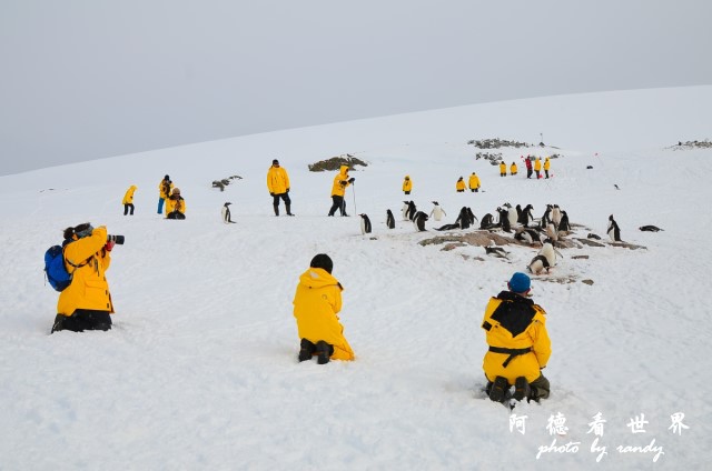 南極6D7 083.JPG 南極6D7 083.JPG