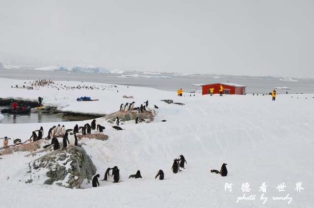 南極6D7 102.JPG 南極6D7 102.JPG