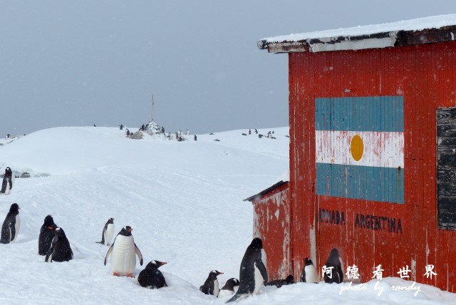 南極6FZ (11).JPG 南極6FZ (11).JPG