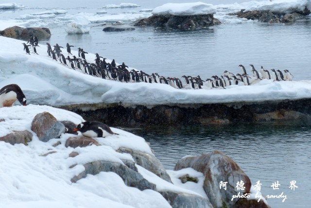 南極6FZ (77).JPG 南極6FZ (77).JPG