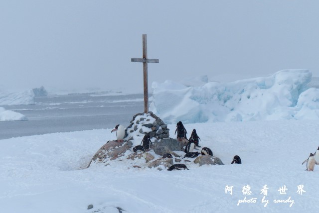 南極6FZ (147).JPG 南極6FZ (147).JPG