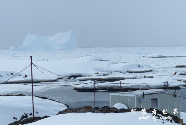 南極6FZ (232).JPG 南極6FZ (232).JPG