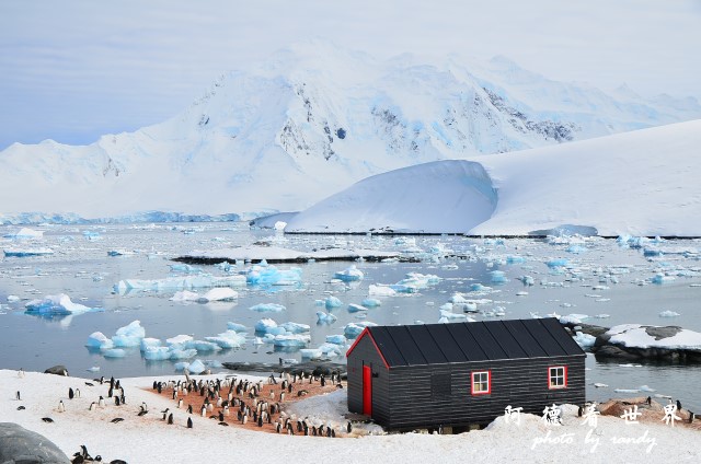 南極7D7 055.JPG 南極7D7 055.JPG