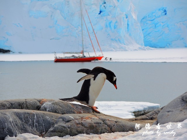 南極7P77 147.JPG 南極7P77 147.JPG