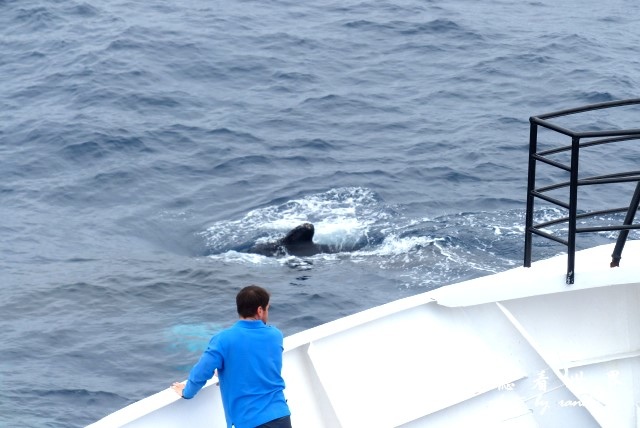 南極9FZ (83).JPG 南極9FZ (83).JPG