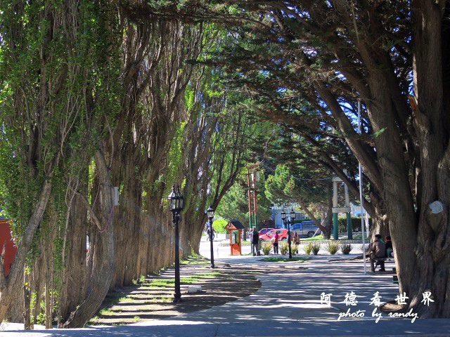 calafate2P77 084.JPG calafate2P77 084.JPG