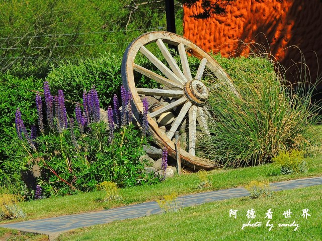 calafate2P77 085.JPG calafate2P77 085.JPG