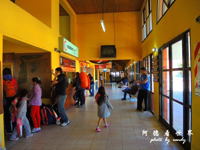 calafate2P77 100.JPG calafate2P77 100.JPG