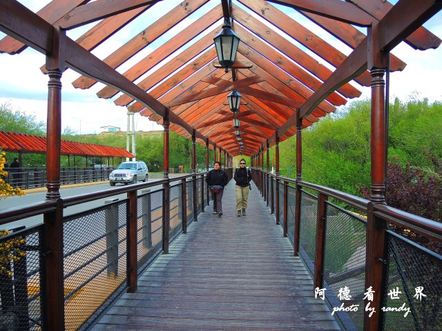 calafate2P77 151.JPG calafate2P77 151.JPG