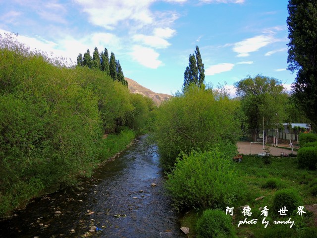 calafate2P77 152.JPG calafate2P77 152.JPG