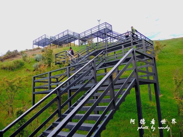 calafate2P77 435.JPG calafate2P77 435.JPG