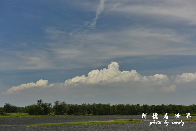 鰲鼓D810 017.JPG 鰲鼓D810 017.JPG