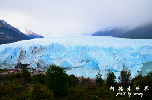 calafate2D7 056.JPG