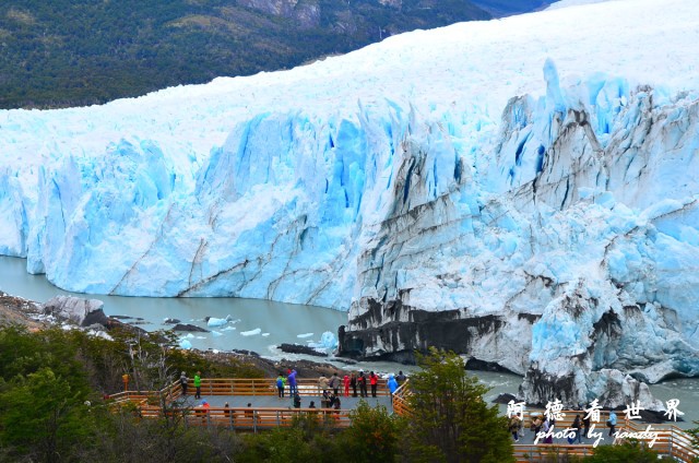 calafate2D7 057.JPG