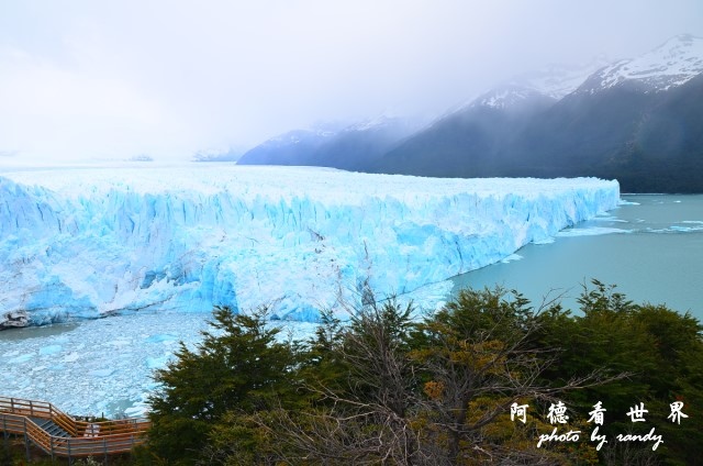 calafate2D7 066.JPG