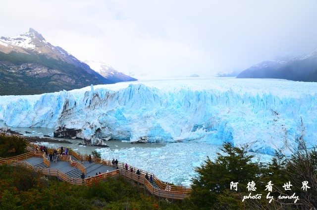 calafate2D7 067.JPG