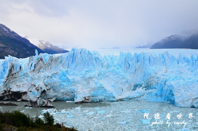 calafate2D7 071.JPG