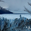 calafate2FZ (166).JPG