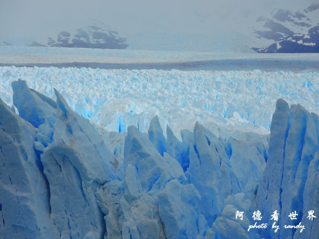 calafate2P77 252.JPG