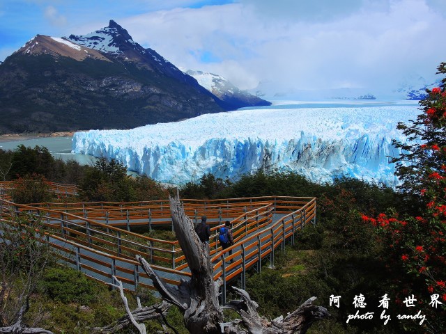 calafate2P77 305.JPG