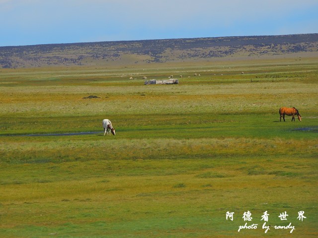 natales1P77 021.JPG