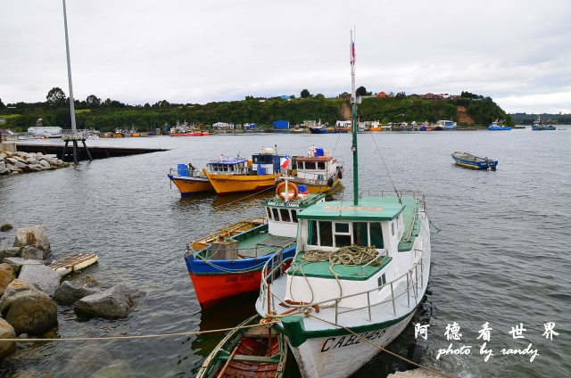 calbucoD7 032.JPG calbucoD7 032.JPG