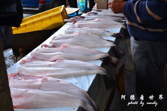 calbucoD7 034.JPG calbucoD7 034.JPG