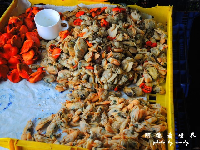 calbucoP77 049.JPG calbucoP77 049.JPG