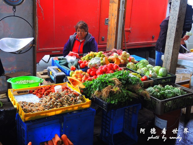 calbucoP77 052.JPG calbucoP77 052.JPG