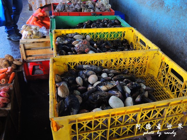 calbucoP77 051.JPG calbucoP77 051.JPG