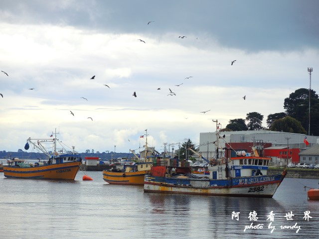 calbucoP77 091.JPG calbucoP77 091.JPG