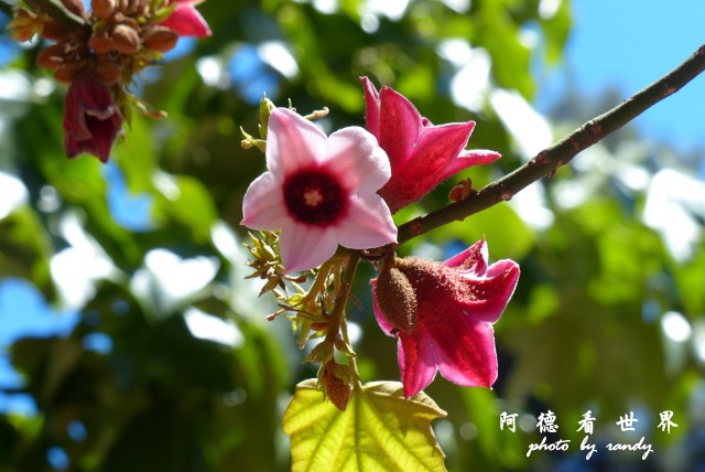 santiago2FZ (107).JPG santiago2FZ (107).JPG