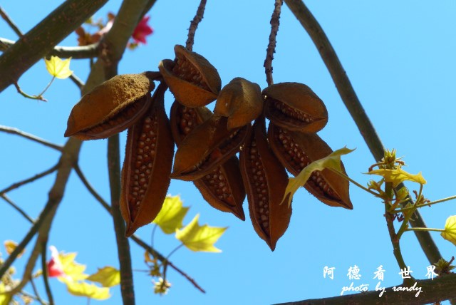 santiago2FZ (108).JPG santiago2FZ (108).JPG