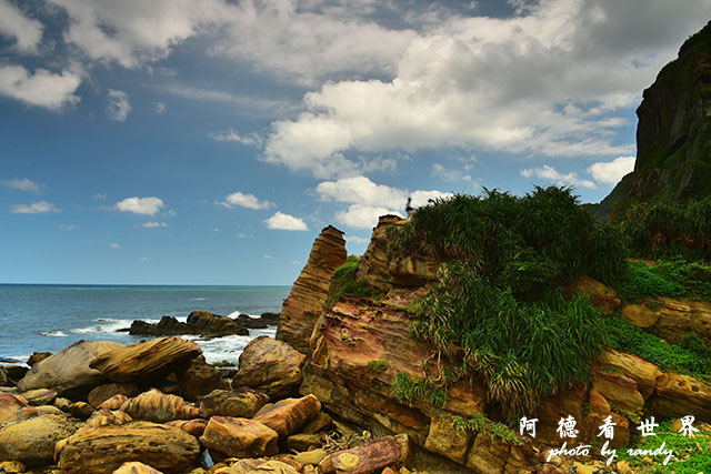 東北角D810 026.JPG 東北角D810 026.JPG