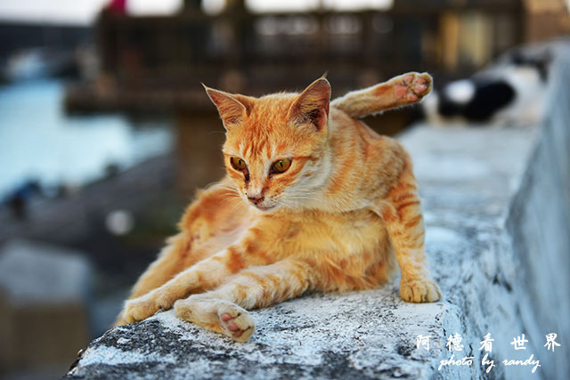 東北角D810 151.JPG 東北角D810 151.JPG