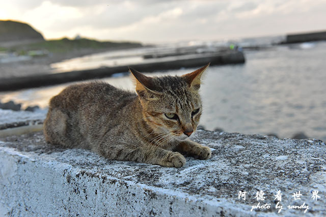 東北角D810 150.JPG 東北角D810 150.JPG