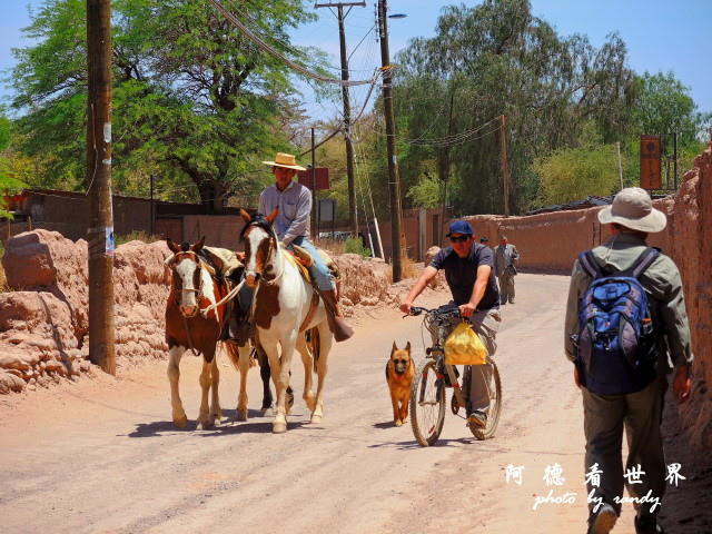 Arica1P77 018.JPG Arica1P77 018.JPG