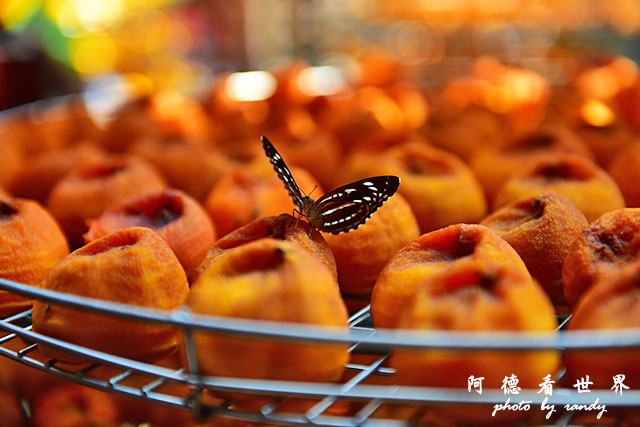 新埔-寶山D810 008.JPG 新埔-寶山D810 008.JPG