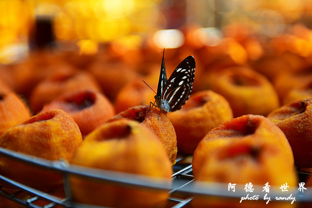 新埔-寶山D810 011.JPG 新埔-寶山D810 011.JPG