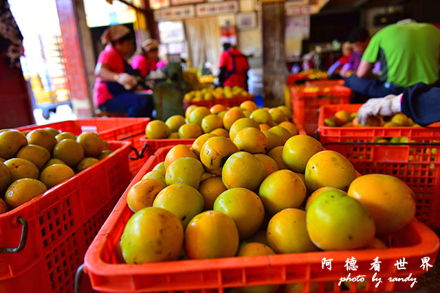 新埔-寶山D810 019.JPG 新埔-寶山D810 019.JPG