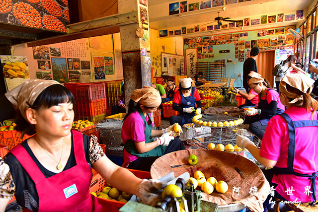 新埔-寶山D810 040.JPG 新埔-寶山D810 040.JPG