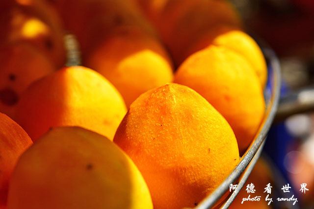 新埔-寶山D810 054.JPG 新埔-寶山D810 054.JPG