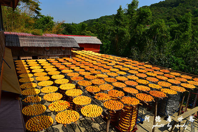 新埔-寶山D810 055.JPG 新埔-寶山D810 055.JPG