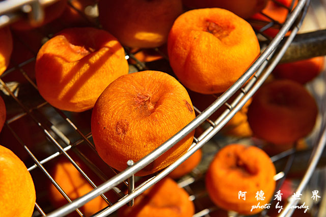 新埔-寶山D810 069.JPG 新埔-寶山D810 069.JPG