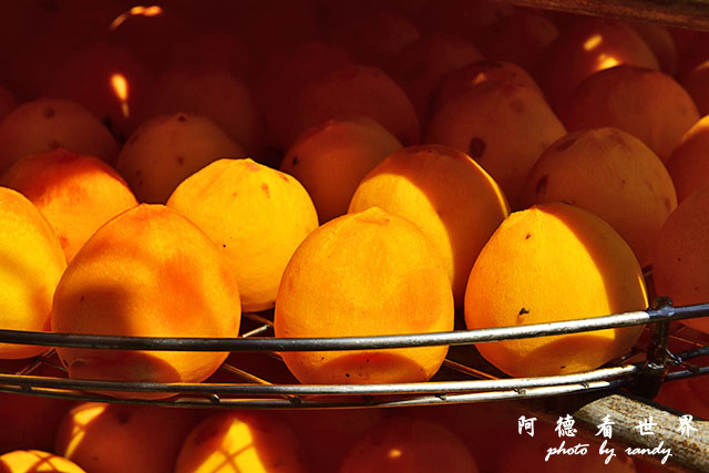 新埔-寶山D810 070.JPG 新埔-寶山D810 070.JPG