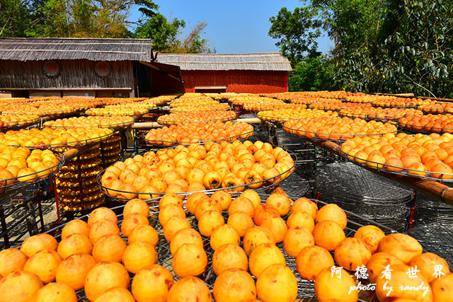 新埔-寶山D810 102.JPG 新埔-寶山D810 102.JPG