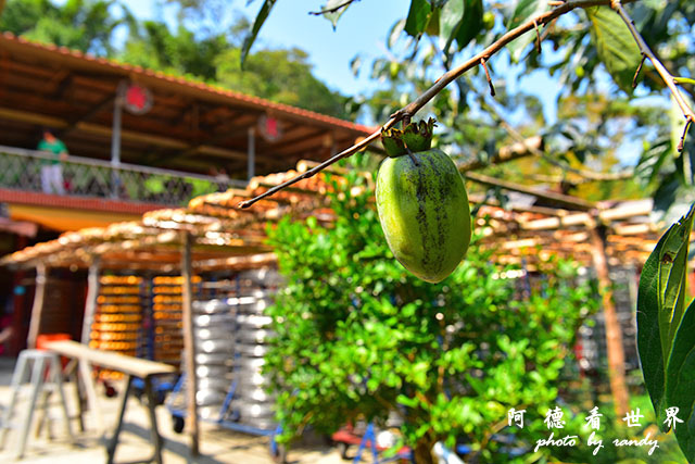 新埔-寶山D810 109.JPG 新埔-寶山D810 109.JPG