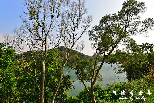 新埔-寶山D810 127.JPG 新埔-寶山D810 127.JPG