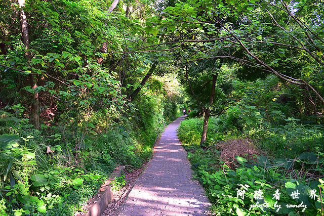 新埔-寶山D810 135.JPG 新埔-寶山D810 135.JPG