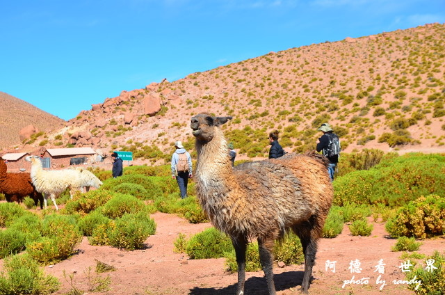 atacama2D7 186.JPG atacama2D7 186.JPG